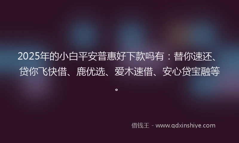 2025年的小白平安普惠好下款吗有：替你速还、贷你飞快借、鹿优选、爱木速借、安心贷宝融等。