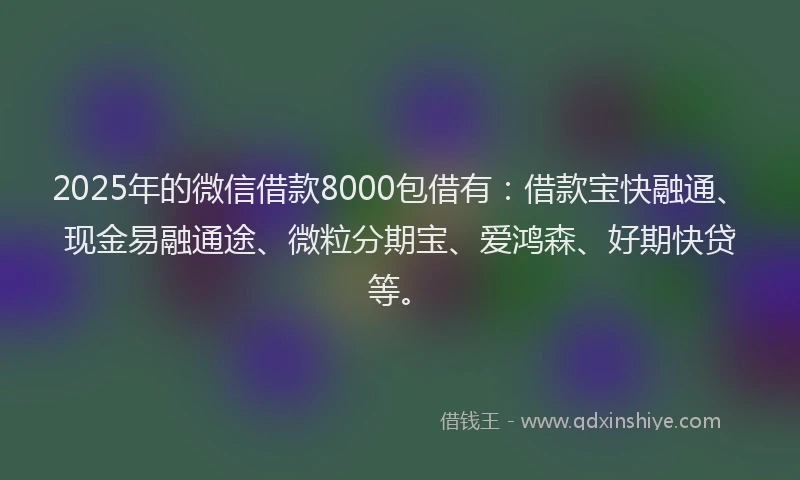 2025年的微信借款8000包借有：借款宝快融通、现金易融通途、微粒分期宝、爱鸿森、好期快贷等。