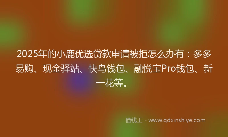 2025年的小鹿优选贷款申请被拒怎么办有：多多易购、现金驿站、快鸟钱包、融悦宝Pro钱包、新一花等。