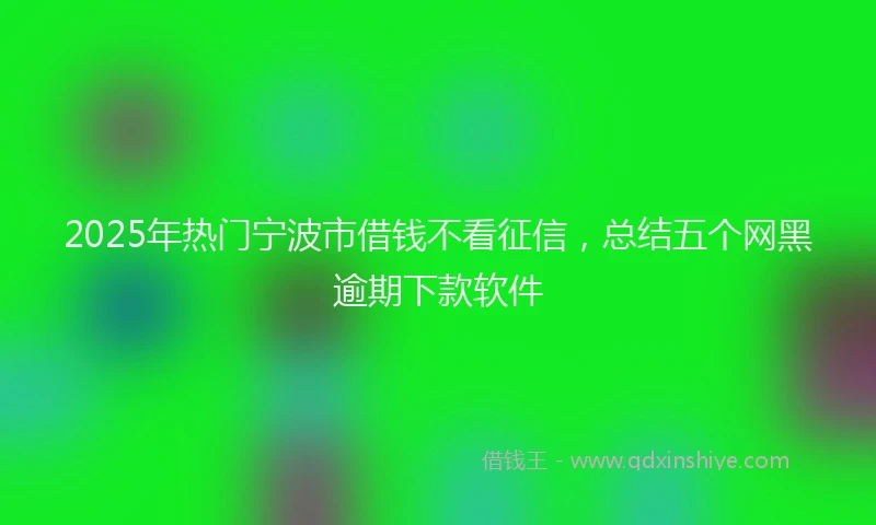 2025年热门宁波市借钱不看征信，总结五个网黑逾期下款软件