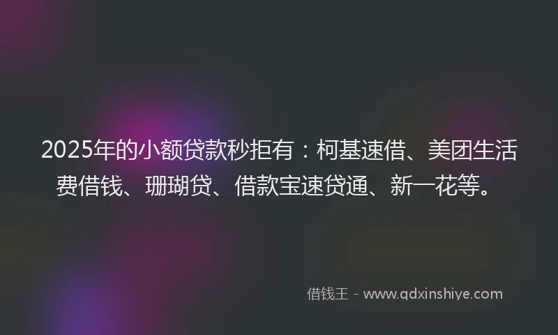 2025年的小额贷款秒拒有：柯基速借、美团生活费借钱、珊瑚贷、借款宝速贷通、新一花等。