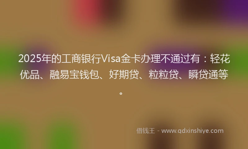 2025年的工商银行Visa金卡办理不通过有：轻花优品、融易宝钱包、好期贷、粒粒贷、瞬贷通等。