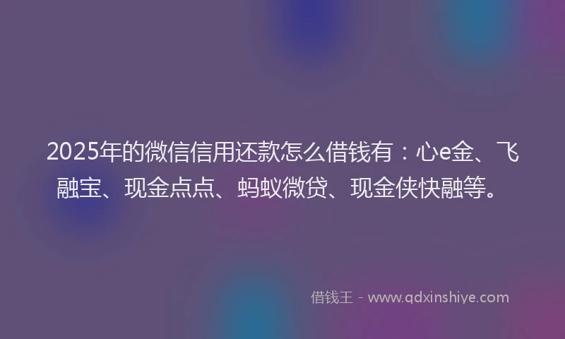 2025年的微信信用还款怎么借钱有：心e金、飞融宝、现金点点、蚂蚁微贷、现金侠快融等。