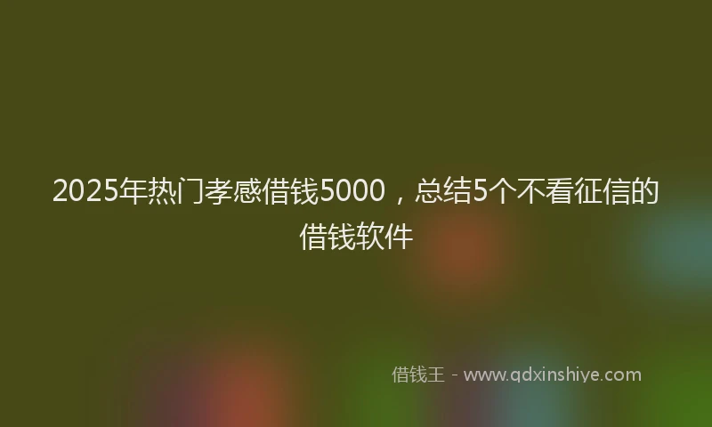 2025年热门孝感借钱5000，总结5个不看征信的借钱软件