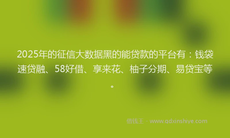 2025年的征信大数据黑的能贷款的平台有：钱袋速贷融、58好借、享来花、柚子分期、易贷宝等。