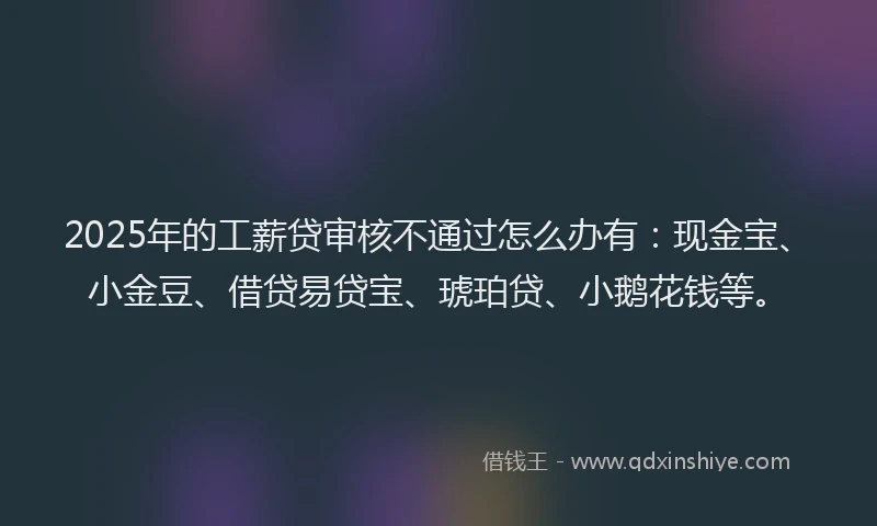 2025年的工薪贷审核不通过怎么办有：现金宝、小金豆、借贷易贷宝、琥珀贷、小鹅花钱等。