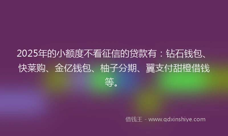 2025年的小额度不看征信的贷款有：钻石钱包、快莱购、金亿钱包、柚子分期、翼支付甜橙借钱等。