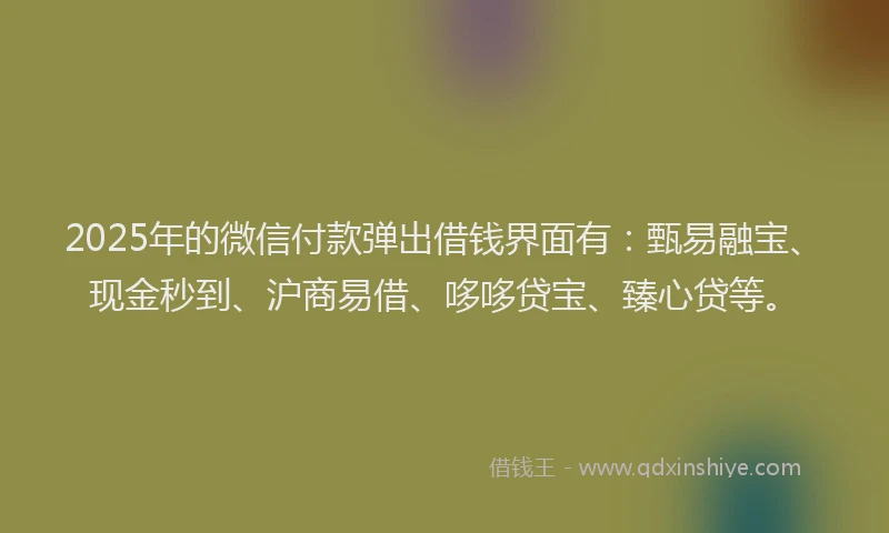 2025年的微信付款弹出借钱界面有：甄易融宝、现金秒到、沪商易借、哆哆贷宝、臻心贷等。