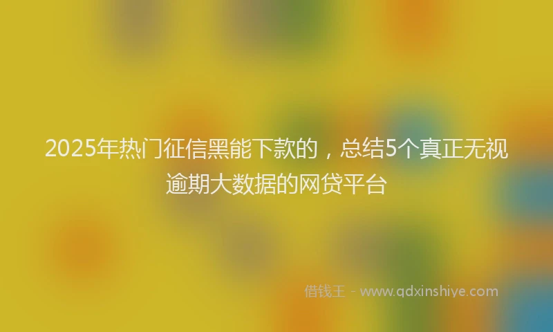 2025年热门征信黑能下款的，总结5个真正无视逾期大数据的网贷平台