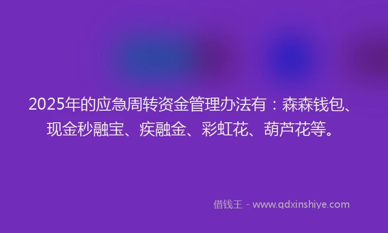 2025年的应急周转资金管理办法有：森森钱包、现金秒融宝、疾融金、彩虹花、葫芦花等。