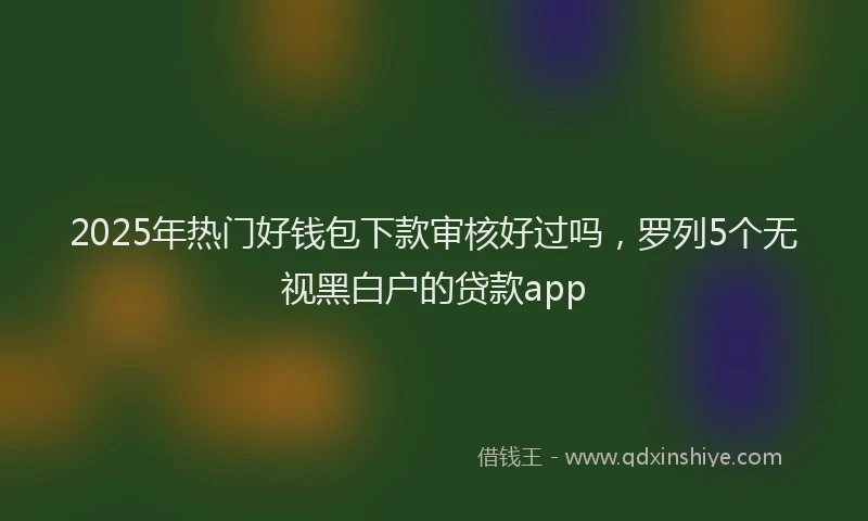 2025年热门好钱包下款审核好过吗，罗列5个无视黑白户的贷款app