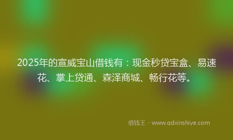 2025年的宣威宝山借钱有：现金秒贷宝盒、易速花、掌上贷通、森泽商城、畅行花等。