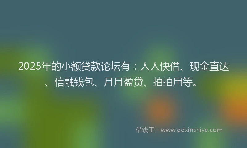 2025年的小额贷款论坛有：人人快借、现金直达、信融钱包、月月盈贷、拍拍用等。