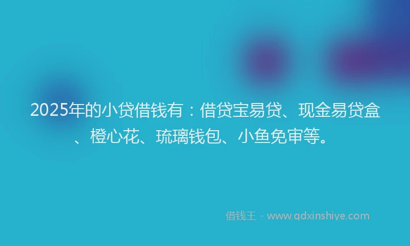 2025年的小贷借钱有：借贷宝易贷、现金易贷盒、橙心花、琉璃钱包、小鱼免审等。