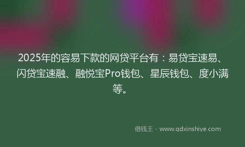 2025年的容易下款的网贷平台有：易贷宝速易、闪贷宝速融、融悦宝Pro钱包、星辰钱包、度小满等。
