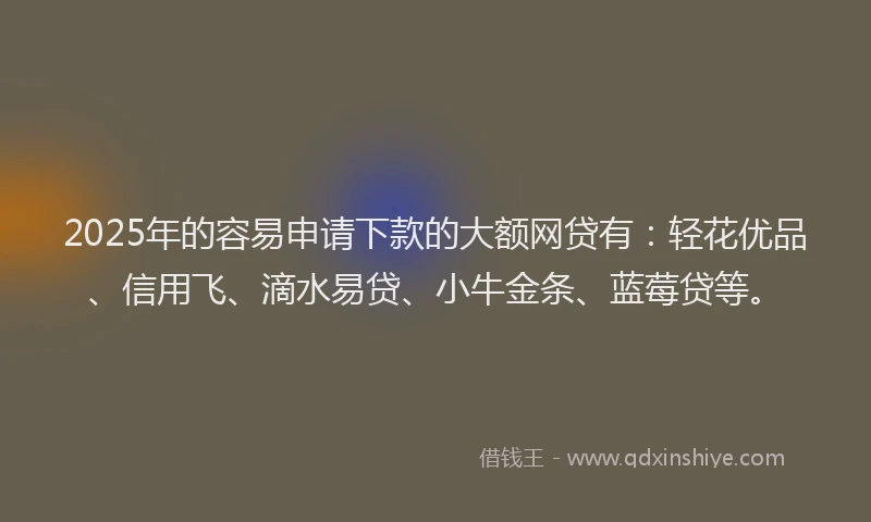 2025年的容易申请下款的大额网贷有：轻花优品、信用飞、滴水易贷、小牛金条、蓝莓贷等。