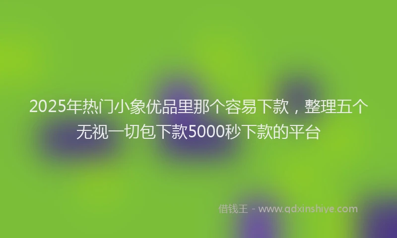 2025年热门小象优品里那个容易下款，整理五个无视一切包下款5000秒下款的平台