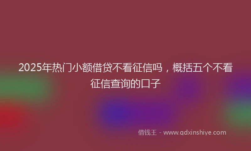 2025年热门小额借贷不看征信吗，概括五个不看征信查询的口子