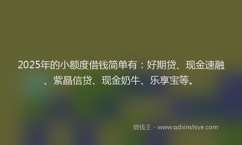 2025年的小额度借钱简单有：好期贷、现金速融、紫晶信贷、现金奶牛、乐享宝等。