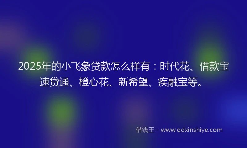 2025年的小飞象贷款怎么样有：时代花、借款宝速贷通、橙心花、新希望、疾融宝等。