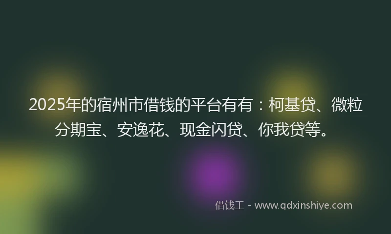 2025年的宿州市借钱的平台有有：柯基贷、微粒分期宝、安逸花、现金闪贷、你我贷等。
