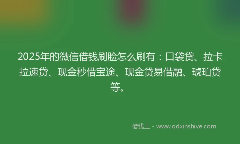 2025年的微信借钱刷脸怎么刷有：口袋贷、拉卡拉速贷、现金秒借宝途、现金贷易借融、琥珀贷等。