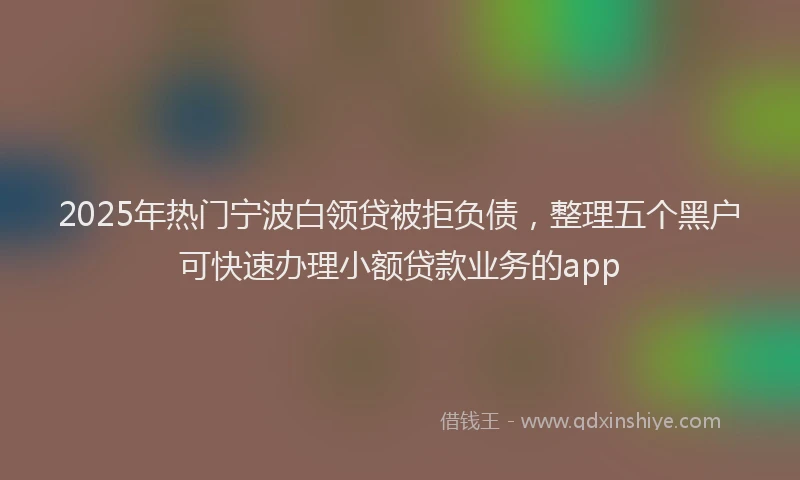 2025年热门宁波白领贷被拒负债，整理五个黑户可快速办理小额贷款业务的app