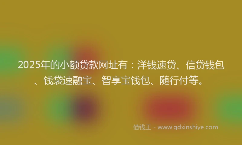 2025年的小额贷款网址有：洋钱速贷、信贷钱包、钱袋速融宝、智享宝钱包、随行付等。