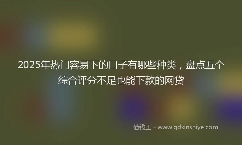 2025年热门容易下的口子有哪些种类，盘点五个综合评分不足也能下款的网贷