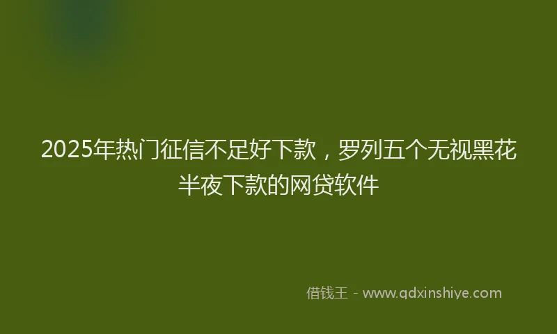 2025年热门征信不足好下款，罗列五个无视黑花半夜下款的网贷软件