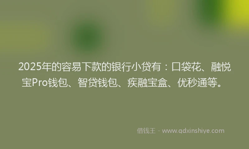 2025年的容易下款的银行小贷有：口袋花、融悦宝Pro钱包、智贷钱包、疾融宝盒、优秒通等。