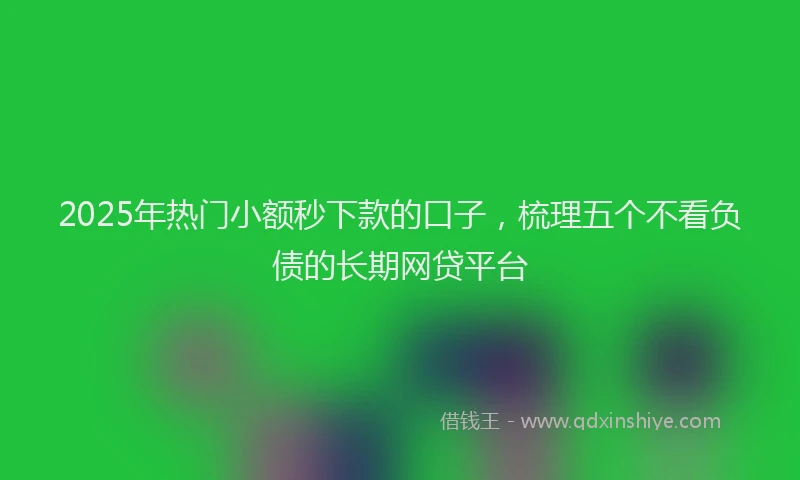 2025年热门小额秒下款的口子，梳理五个不看负债的长期网贷平台