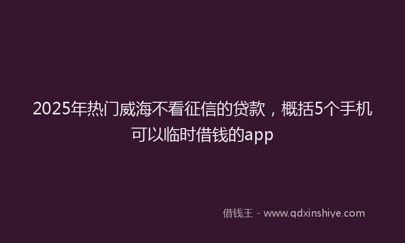 2025年热门威海不看征信的贷款，概括5个手机可以临时借钱的app