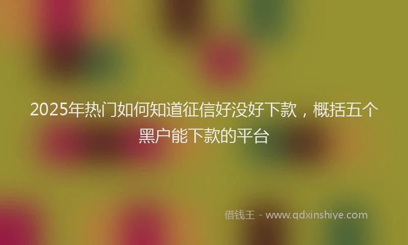 2025年热门如何知道征信好没好下款，概括五个黑户能下款的平台