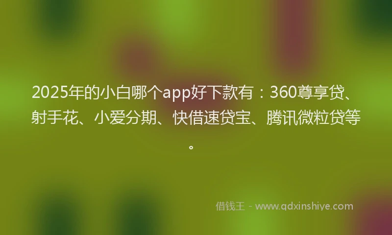2025年的小白哪个app好下款有：360尊享贷、射手花、小爱分期、快借速贷宝、腾讯微粒贷等。