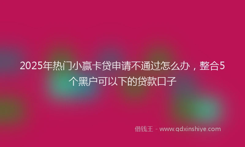 2025年热门小赢卡贷申请不通过怎么办，整合5个黑户可以下的贷款口子