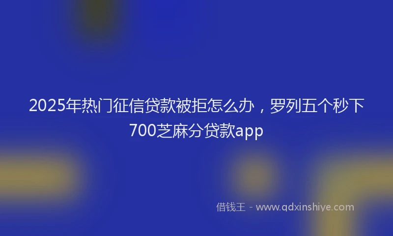 2025年热门征信贷款被拒怎么办，罗列五个秒下700芝麻分贷款app