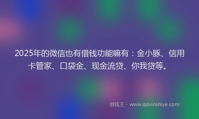 2025年的微信也有借钱功能嘛有：金小豚、信用卡管家、口袋金、现金流贷、你我贷等。