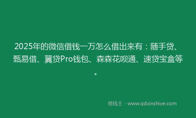 2025年的微信借钱一万怎么借出来有：随手贷、甄易借、翼贷Pro钱包、森森花呗通、速贷宝盒等。