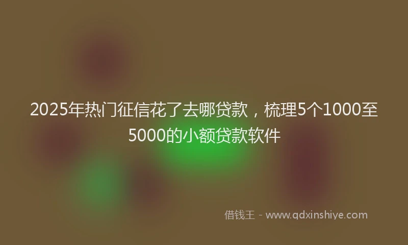 2025年热门征信花了去哪贷款，梳理5个1000至5000的小额贷款软件