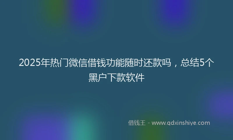 2025年热门微信借钱功能随时还款吗，总结5个黑户下款软件