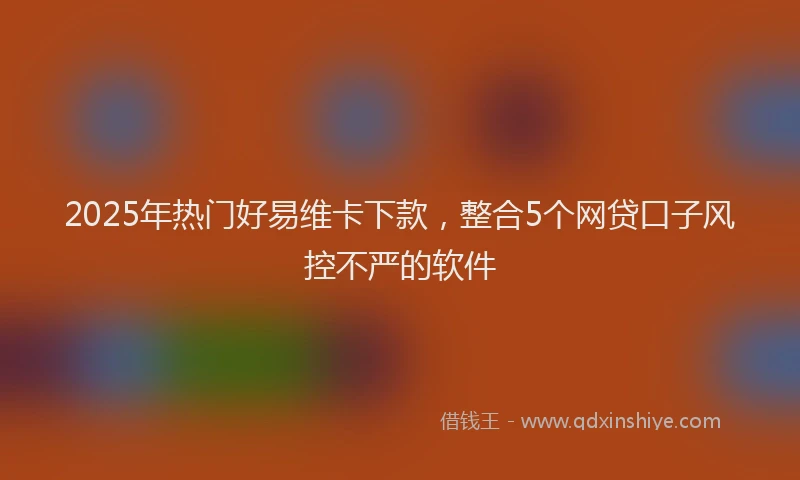 2025年热门好易维卡下款，整合5个网贷口子风控不严的软件