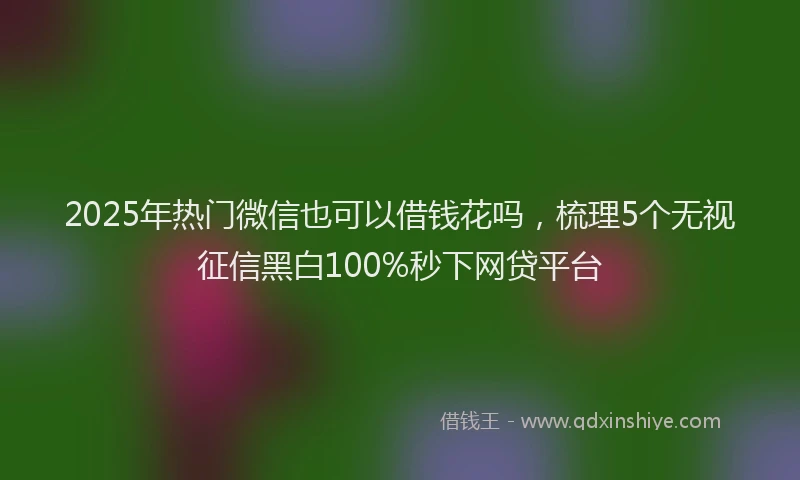 2025年热门微信也可以借钱花吗，梳理5个无视征信黑白100%秒下网贷平台