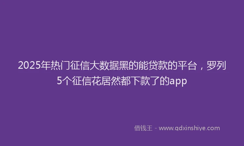 2025年热门征信大数据黑的能贷款的平台，罗列5个征信花居然都下款了的app