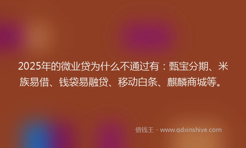 2025年的微业贷为什么不通过有：甄宝分期、米族易借、钱袋易融贷、移动白条、麒麟商城等。