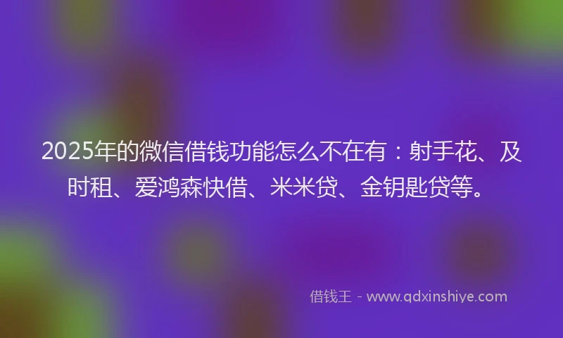 2025年的微信借钱功能怎么不在有：射手花、及时租、爱鸿森快借、米米贷、金钥匙贷等。