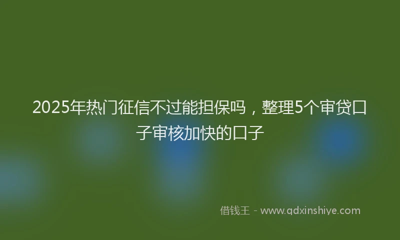 2025年热门征信不过能担保吗，整理5个审贷口子审核加快的口子