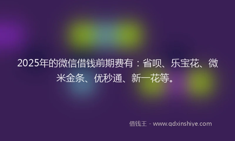 2025年的微信借钱前期费有：省呗、乐宝花、微米金条、优秒通、新一花等。