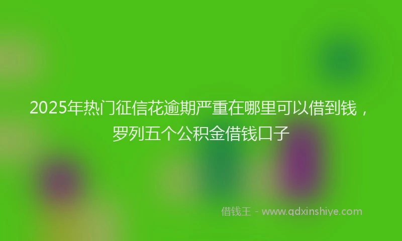 2025年热门征信花逾期严重在哪里可以借到钱，罗列五个公积金借钱口子