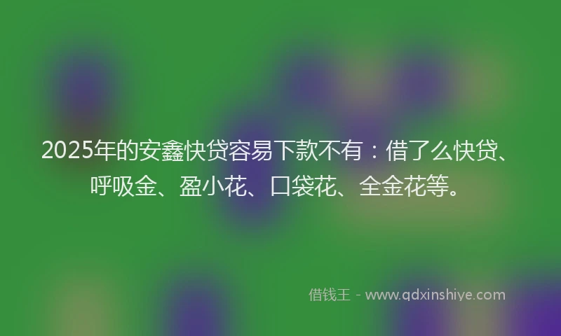 2025年的安鑫快贷容易下款不有：借了么快贷、呼吸金、盈小花、口袋花、全金花等。